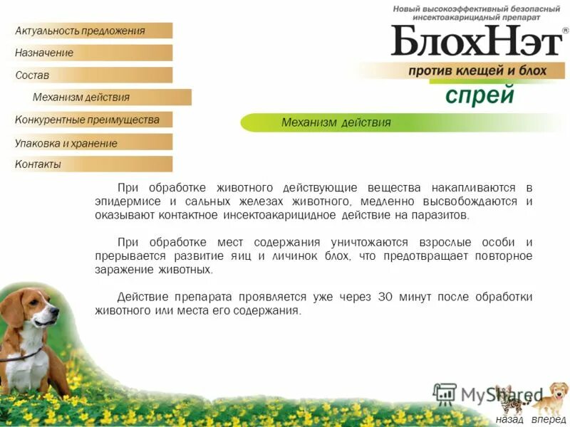 Назначение предложения. Функции знаков препинания. Обращение примеры. Принципы русской пунктуации функции знаков препинания. Рыночный метод ценообразования.