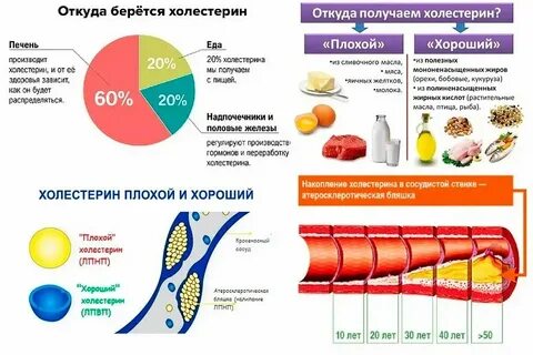Какие продукты поднимают холестерин