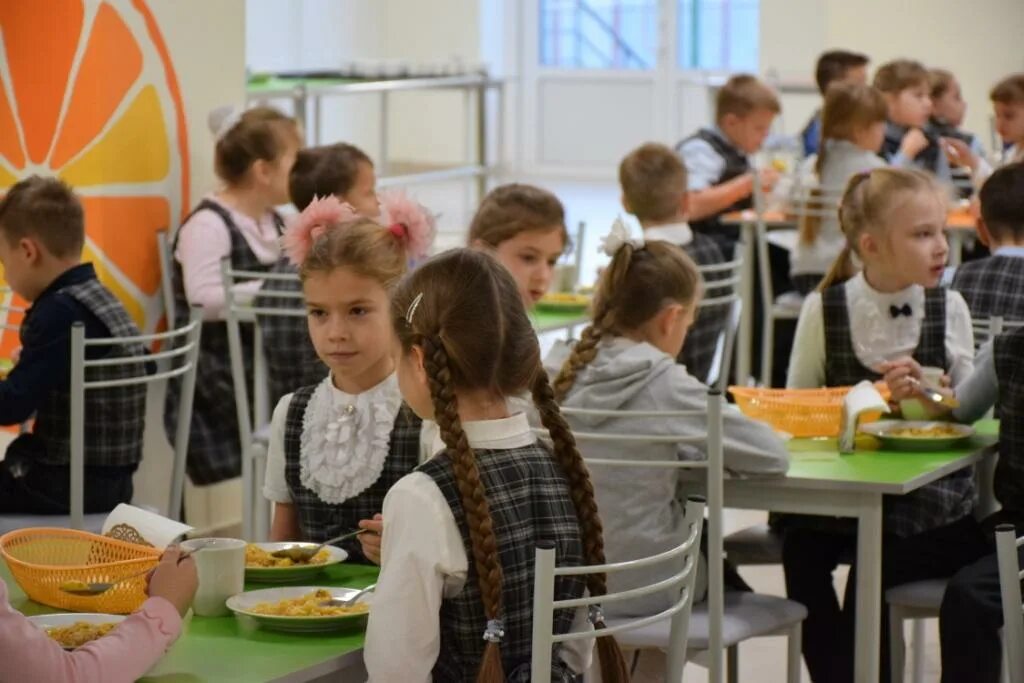 занятия в школах саратова 15 февраля 2024. школа 1 самойловка саратовской. в 31 гимназии обвалился потолок город саратов. васильевская школа. питание в саратовской школе.