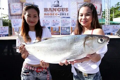 Milk fish