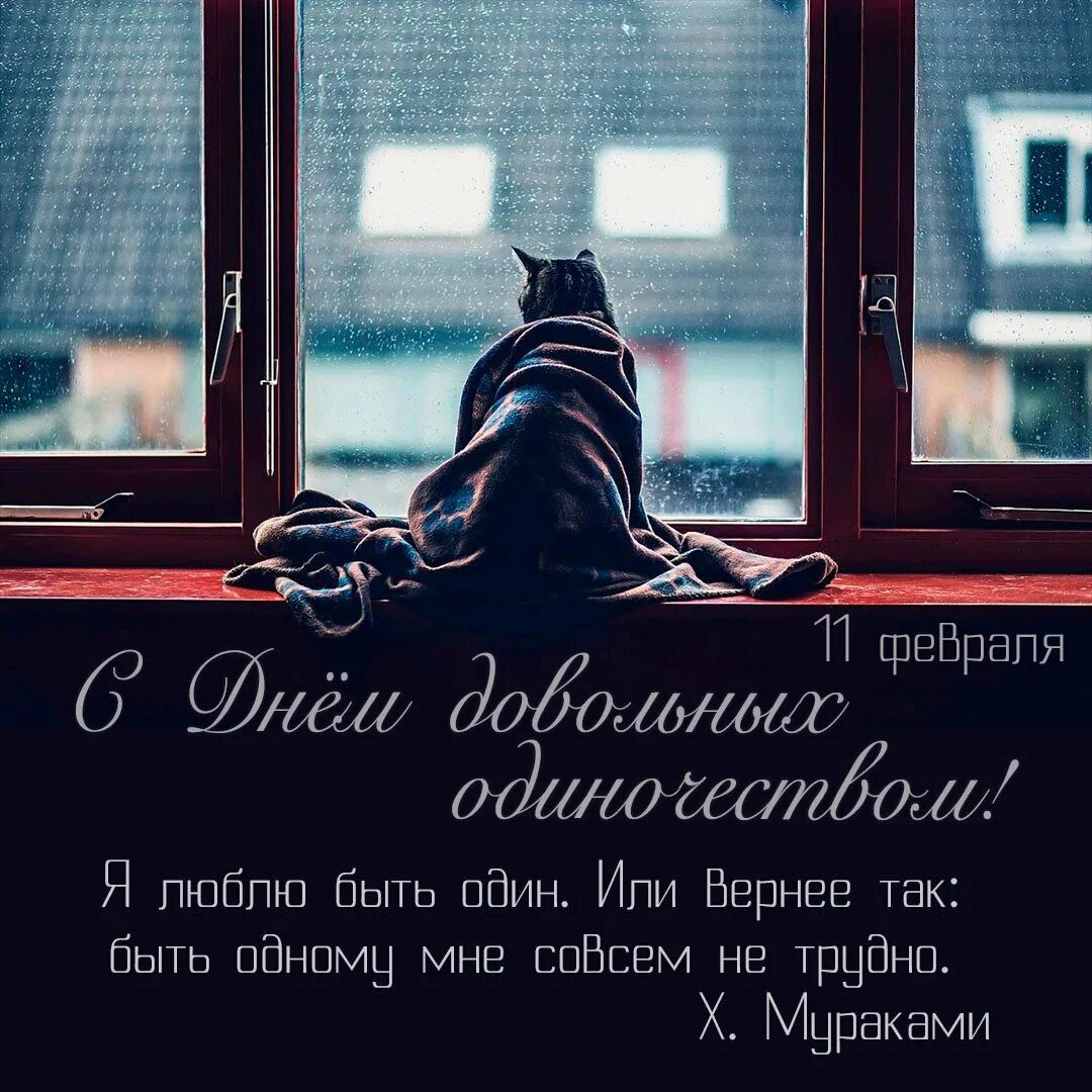 День довольных одиночеством. Поздравления с днём довольных одиночеством. день довольных одиночеством открытки. открытки одиночество. погрустим.