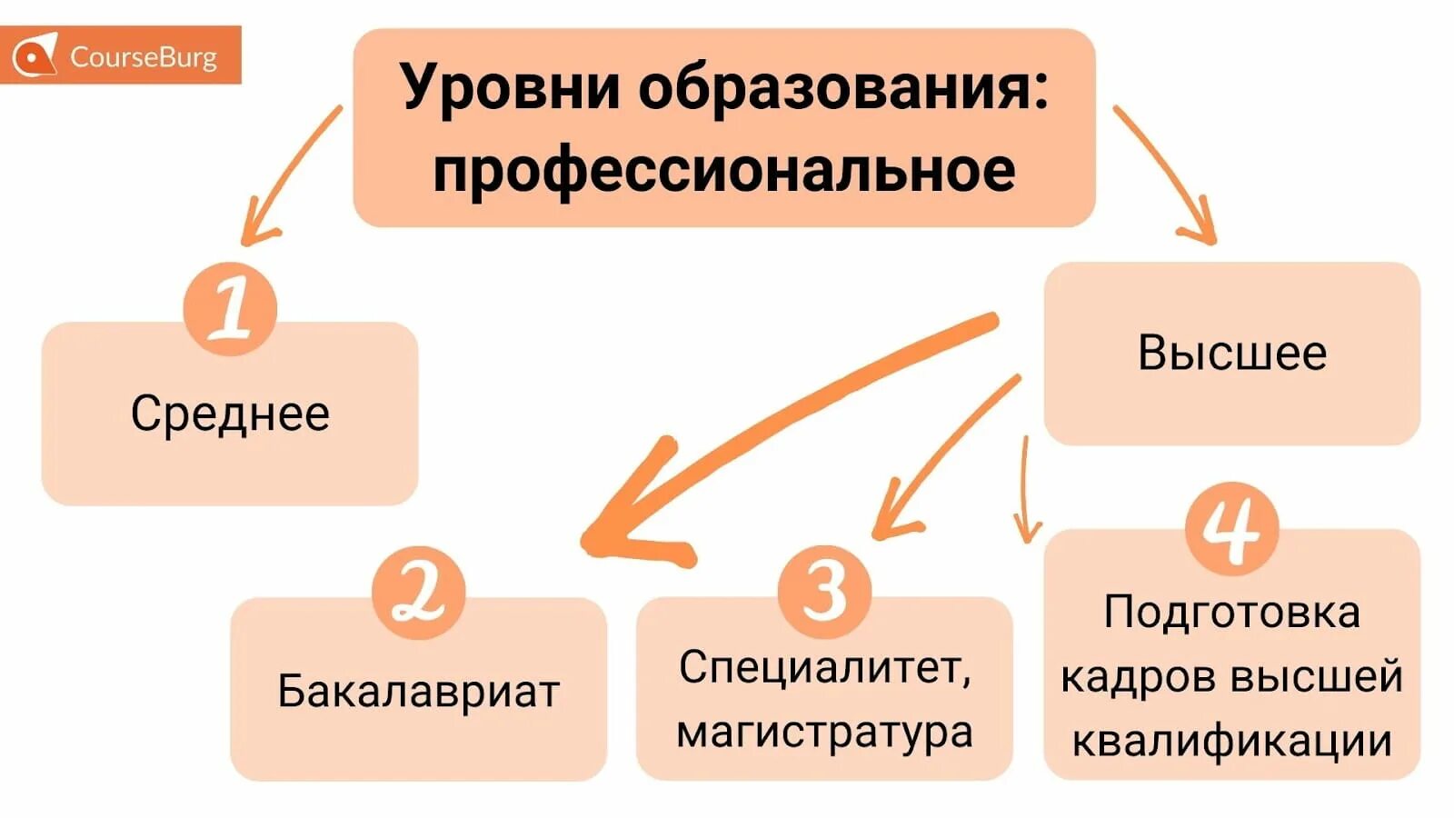 Что выше бакалавриат или специалитет. Специальности высшего образования в россии