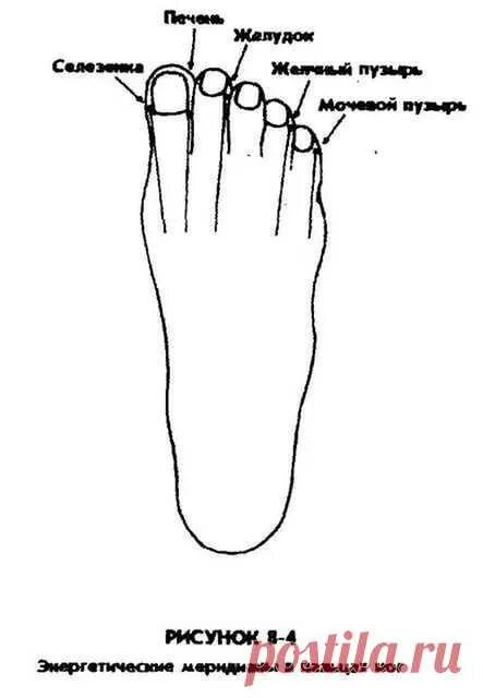 Проекция органов на ступне. Рефлекторные зоны стопы схема органы. Точки акупунктуры на стопе. Точки на подошве стопы отвечающие за органы. Точки на ступнях для массажа.