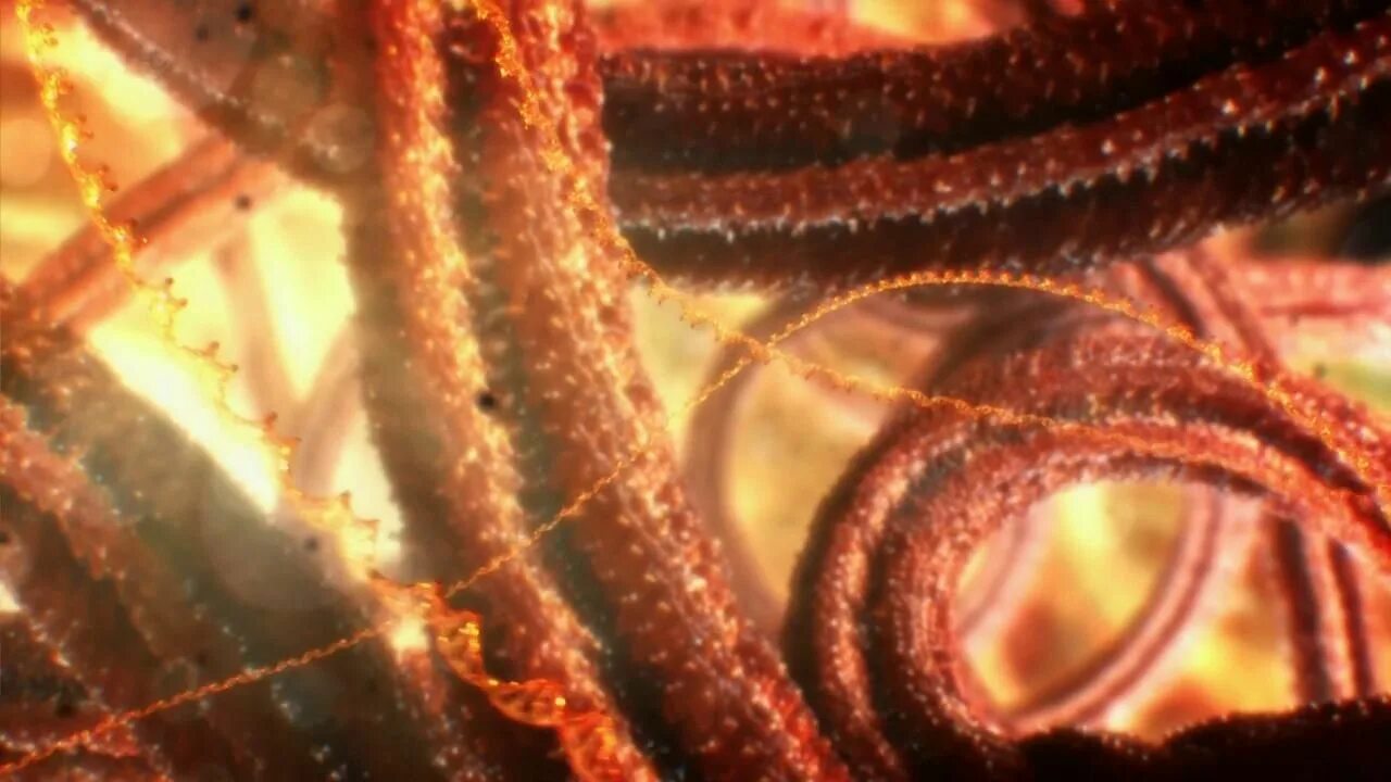 Тайна жизни видео. Тайная жизнь клетки bbc. Bbc: внутренняя Вселенная: Тайная жизнь клетки (2012) документальный.