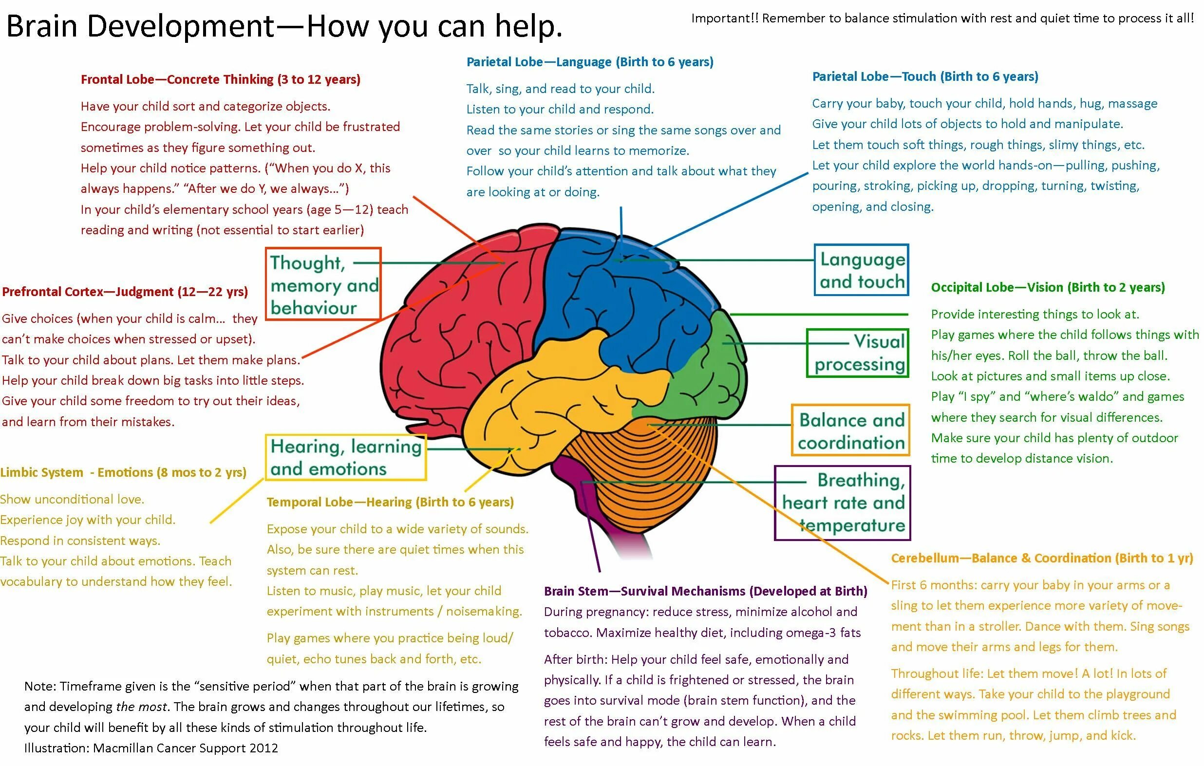 When you learn to read. Мозг аутиста. Мозг и поведенческие программы. Развитие мозга ребенка. Brain developing.