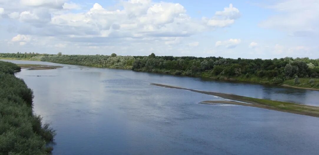 Вода в реке сура. Река Сура Ядрин. Река Сура Ядринский район. Река Сура Пенза. Река Сура Нижегородская область.