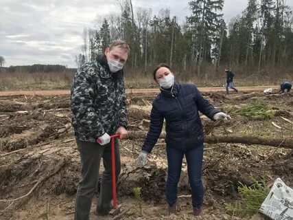 Арендаторы лесных участков