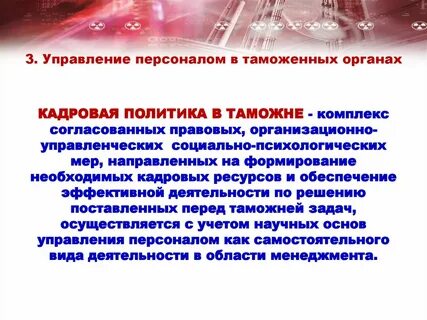 Система управления таможенными органами