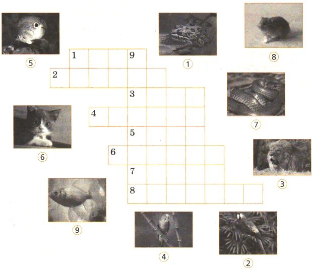 Write the names of the animals. Complete the crossword with the animals диснеевские животные. do the crossword. разгадай кроссворд. do the crossword puzzle write the names of the animals 1-8 and get a new word.