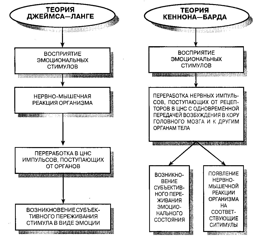Теория кэннона барда. Таламическая теория кеннона-барда. Таламическая теория кеннона-барда. Теория эмоций барда. Теория эмоций барда.