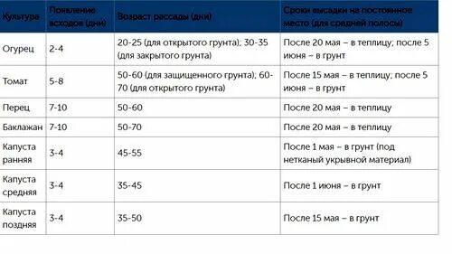 Сколько дней всходит капуста после посева. Сроки посева семян на рассаду. Оптимальный Возраст рассады для высадки в грунт. Сроки высадки рассады капусты в грунт. Сроки высадки рассады после всходов.