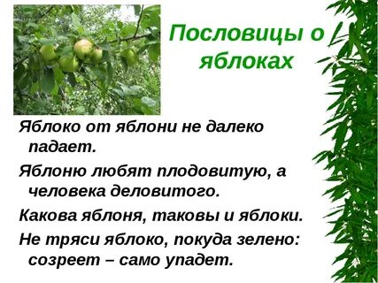 Яблоко поговорки