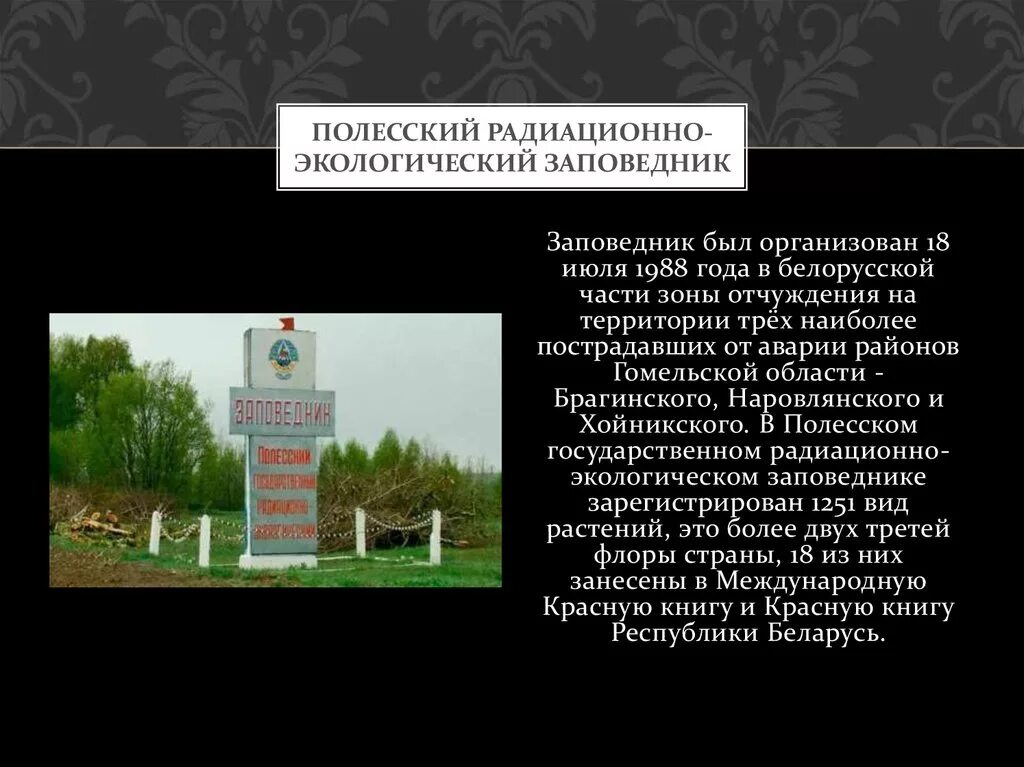 Белорусский радиационный заповедник. Полесский радиационный заповедник Беларуси. Полесский радиационно-экологический заповедник презентация. Экологический заповедник. Радиационной экологии гомель