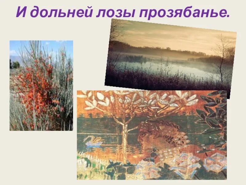 Лоза прозябанья. И вырвал грешный мой язык. Лоза прозябанья. Лоза прозябанья. Прозябание.