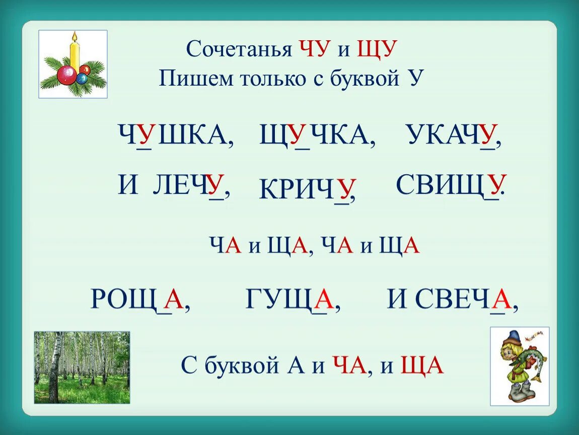 Слова с щ и ю. Звук и буква щ. Сочетания Чу ЩУ. Звуковое обозначение буквы щ. Звуковые обозначения букв ж щ.