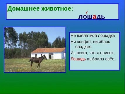Словарные слова домашние животные