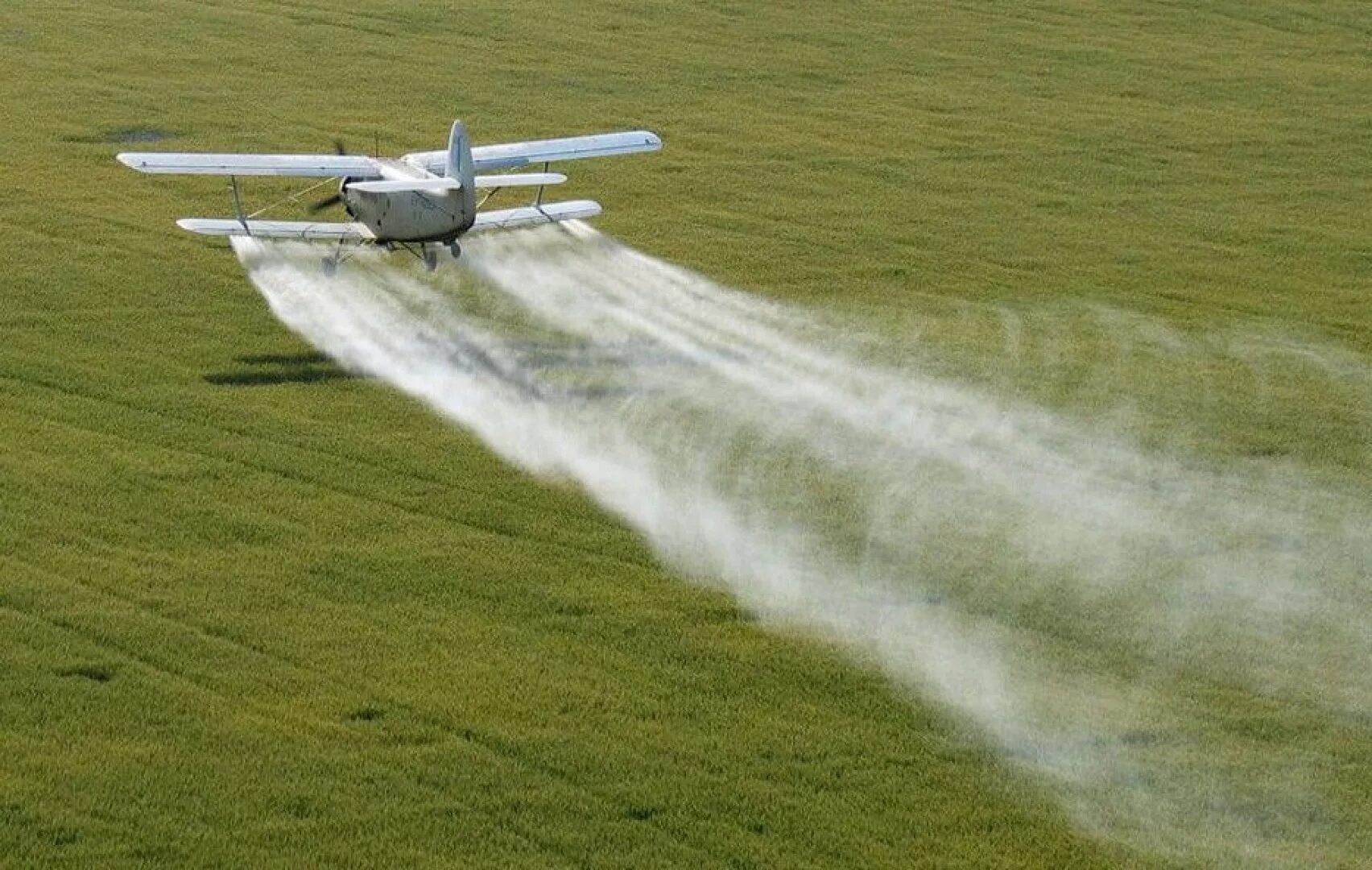 Обработка полей пестицидами. Опрыскиватель на самолете АН-2. Ан2 сельхозавиации. АН-2 кукурузник обработка полей. Ан2 опрыскивает поле.