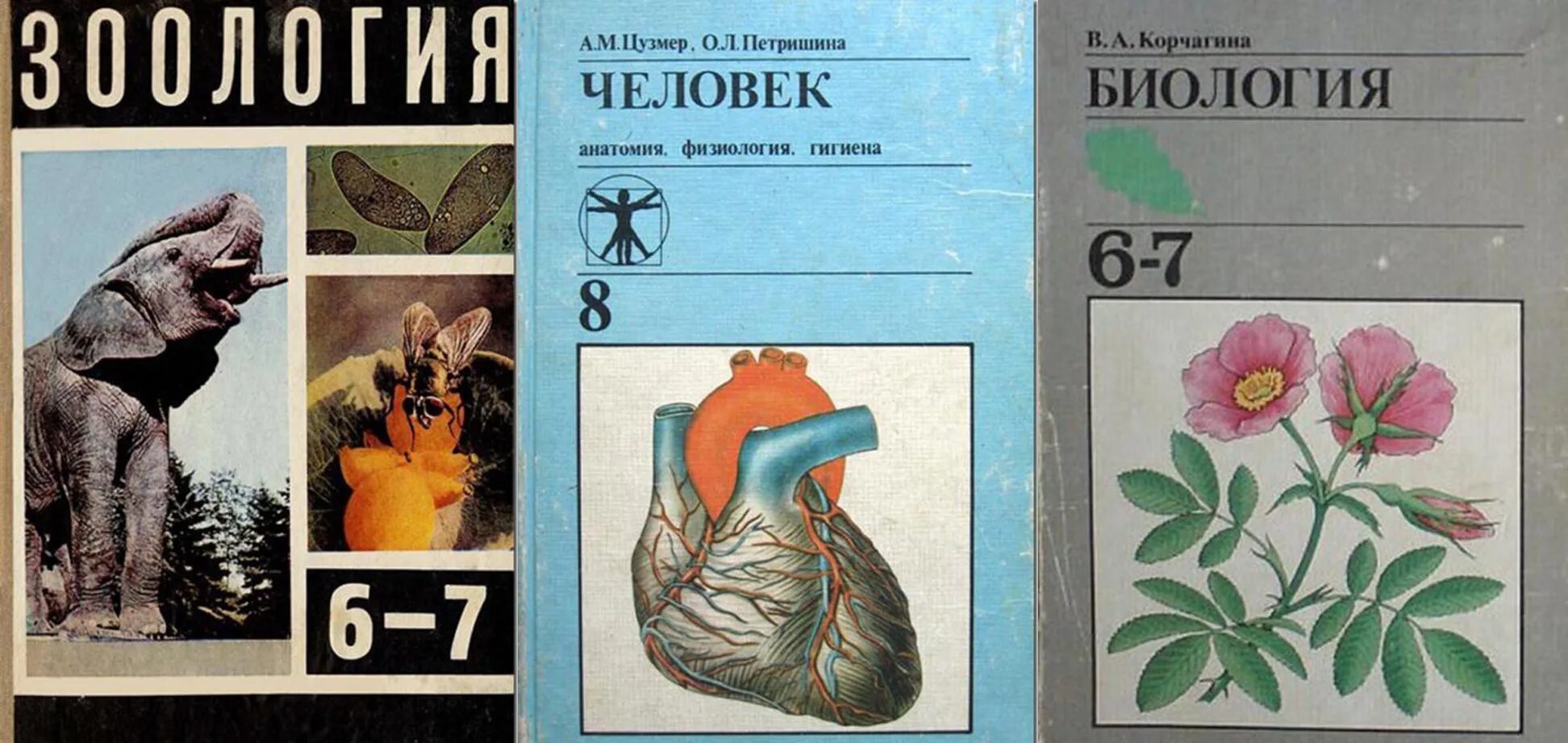 5 6 1990. Собецкие учебники по биологии. Учебники СССР. Советский учебник биологии. Биология учебник СССР.