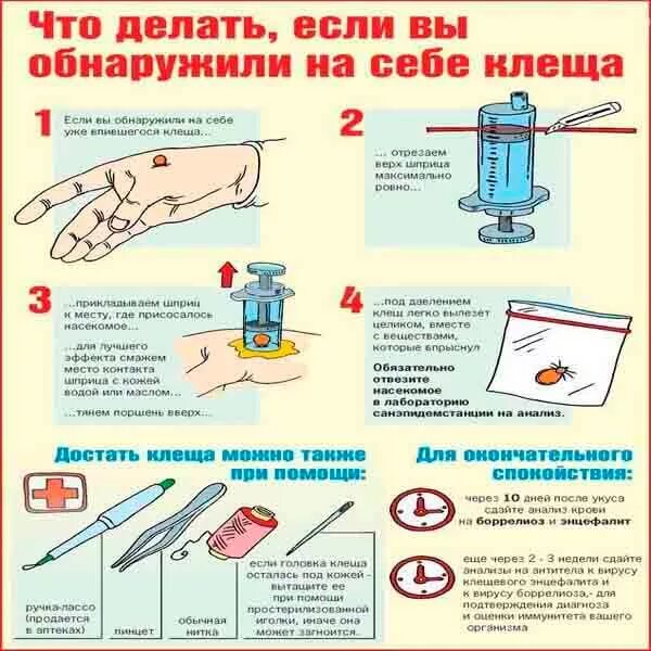 Удалить клеща в домашних условиях самостоятельно. Как вынуть клеща с помощью шприца. Как шприцом вытащить клеща правильно. Извлечение клеща с помощью шприца. Удаление присосавшегося клеща.