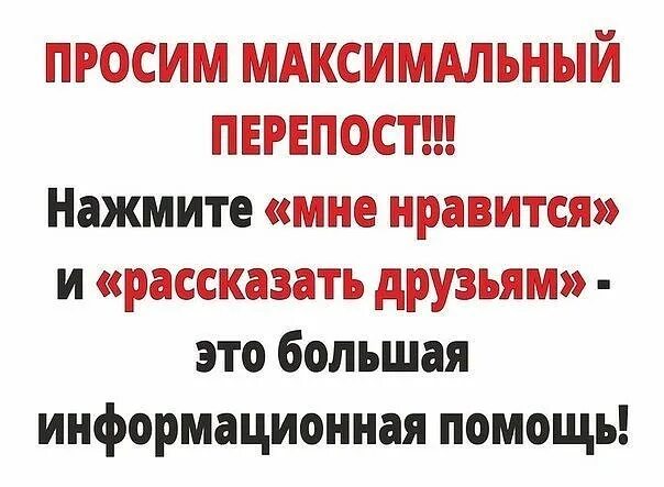 Репост что это значит простыми. Просьба максимальный репост. Прошу репост. Просим максимальный репост. Сделайте максимальный репост.