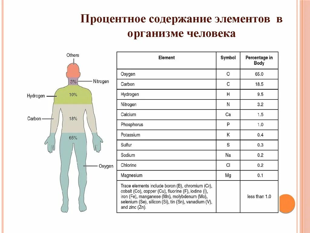 Элементы в теле человека. Процентное содержание элементов в организме человека. Содержание элементов в теле человека. Содержание химических элементов в организме в процентах. Элементы в человеческом организме.