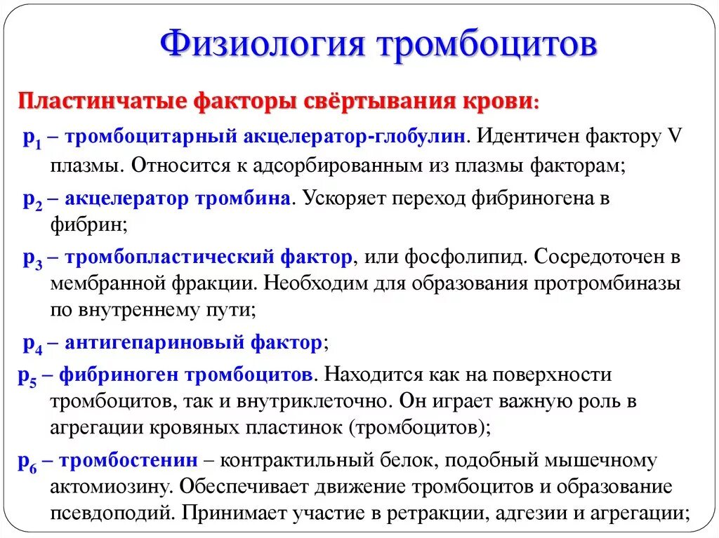 5 фактор крови. Тромбоцитарные факторы свертывания крови. Тромбоцитарные факторы свертывания крови физиология. Гемостаз факторы свертывания крови. Общая характеристика тромбоцитов функции.