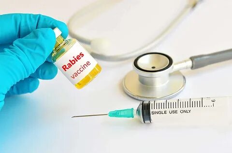 Hpv Vaccination Dubai