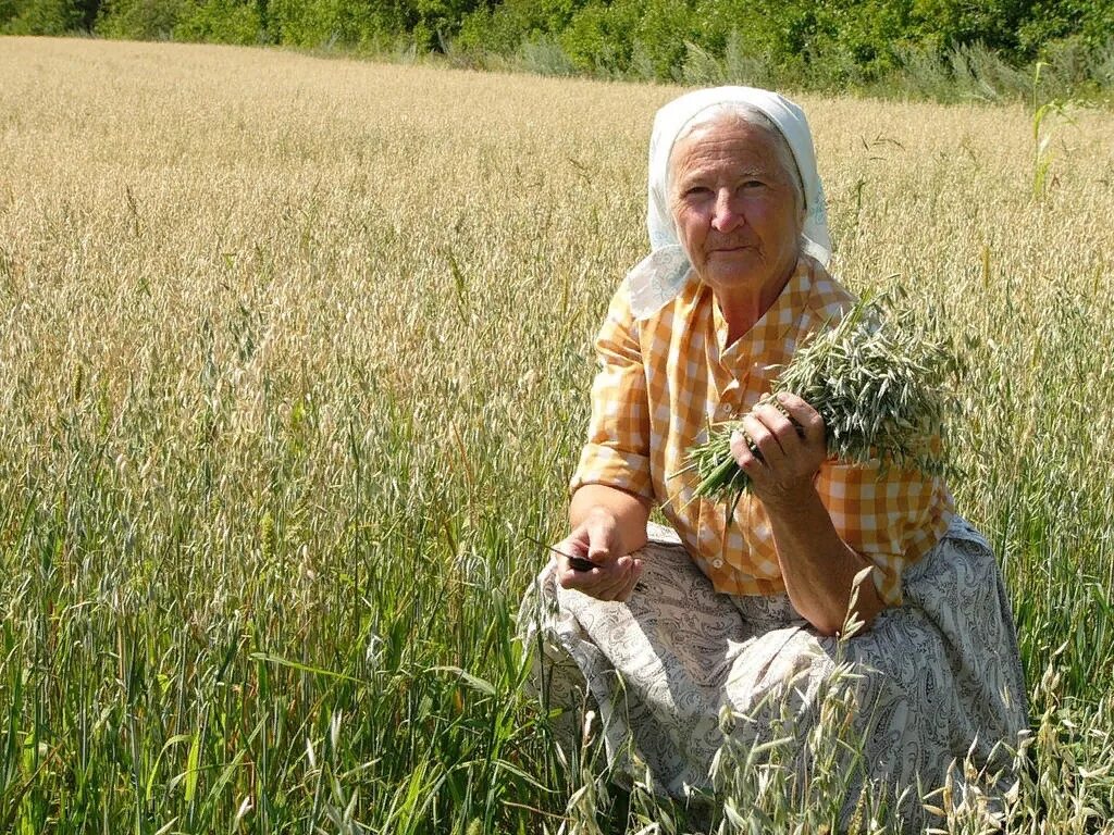 Узнать тетка. Деревенская бабушка. Бабка с травами. Женщина травница. Бабушка в поле.