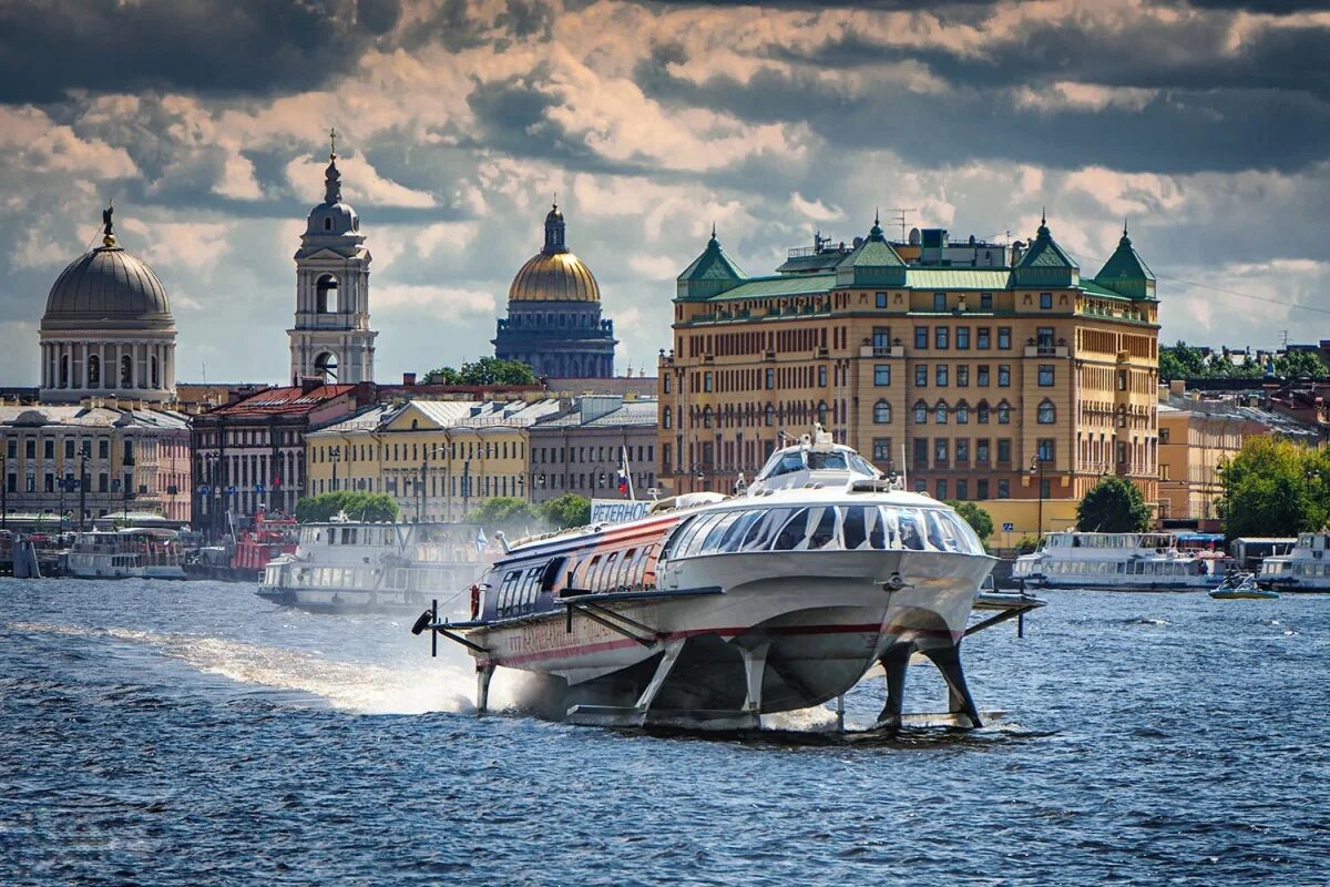 Метеор санкт петербург петергоф цена 2023. Метеор Санкт-Петербург Петергоф. Метеор из Петергофа в Санкт-Петербург. Метеор Санкт-Петербург Петергоф Кронштадт. Метеор в Петергоф.