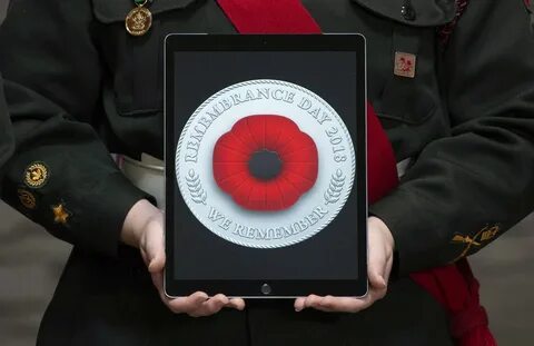 Remembrance day in australia 9 grade