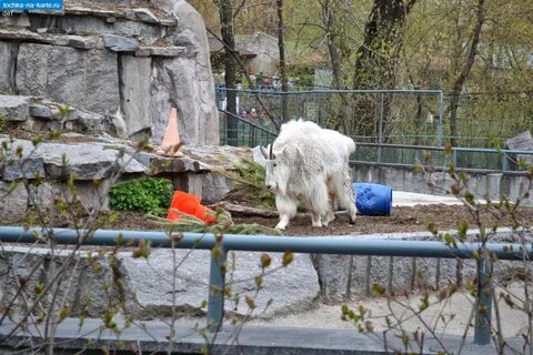 Воскресенье зоопарк