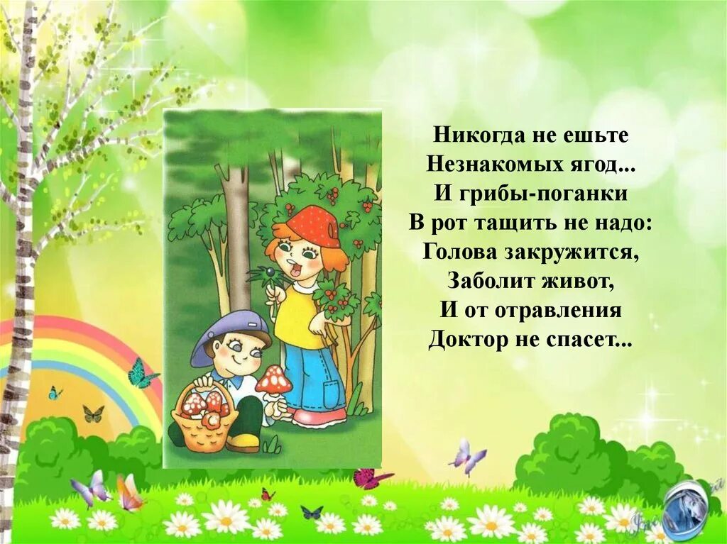 Почему нельзя в саду. Никогда не ешьте незнакомых ягод. не ешь незнакомые грибы и ягоды. не ешь незнакомые ягоды в лесу. нельзя есть незнакомые ягоды и грибы.