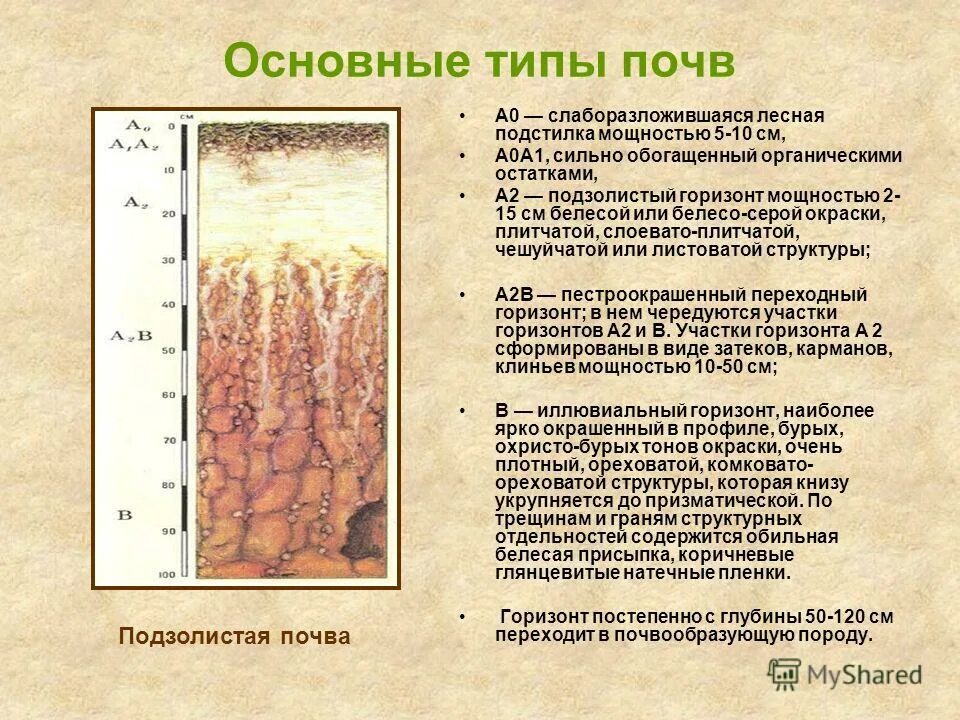 Подзолистая почва описание. Почвенные горизонты подзолистых почв. Мощность гумусового горизонта дерново-подзолистых почв. Дерново-подзолистые почвы гумусовый Горизонт. Горизонт – а2 подзолистые почвы.