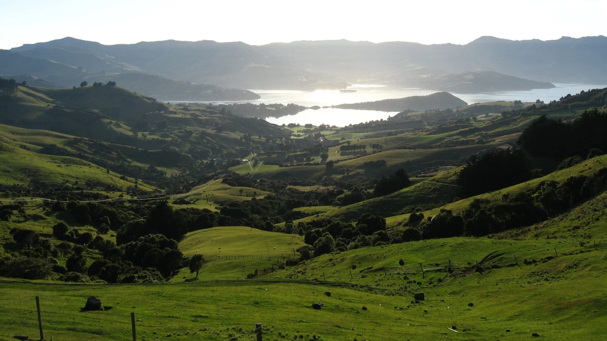 Greens new zealand. Новая зеландия хоббитон. Парк фьордленд новая зеландия. Новая зеландия пастбища. Greens new zealand.