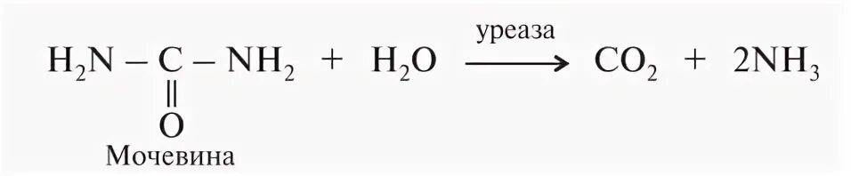 Уреаза и мочевина реакция. Мочевина уреаза. Расщепление мочевины уреазой. Уреаза фермент. Мочевиной форум