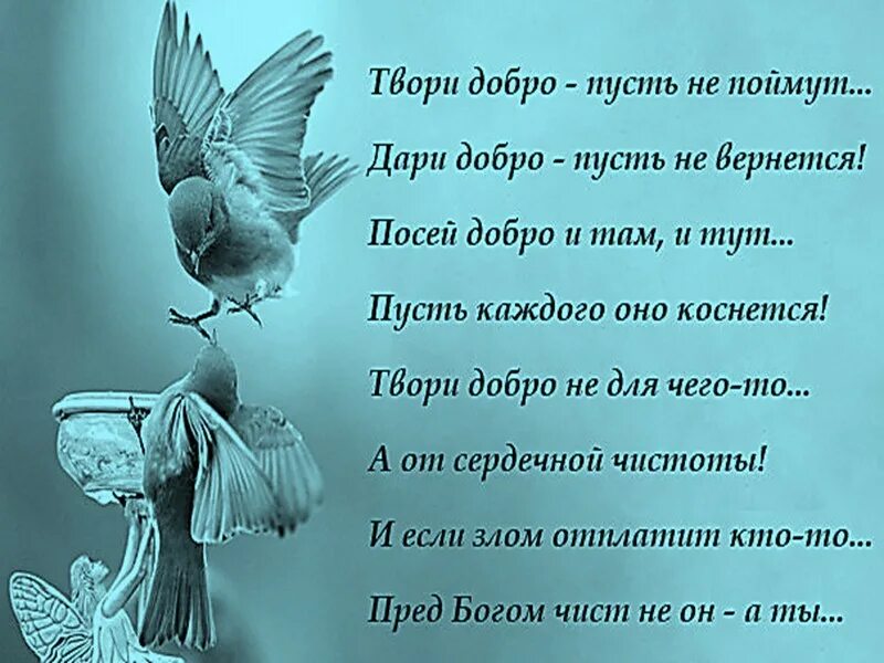 Подари добро песня. Твори добро добро. Твори добро стихи. Твори добро Дари добро. Творить добро стихи.