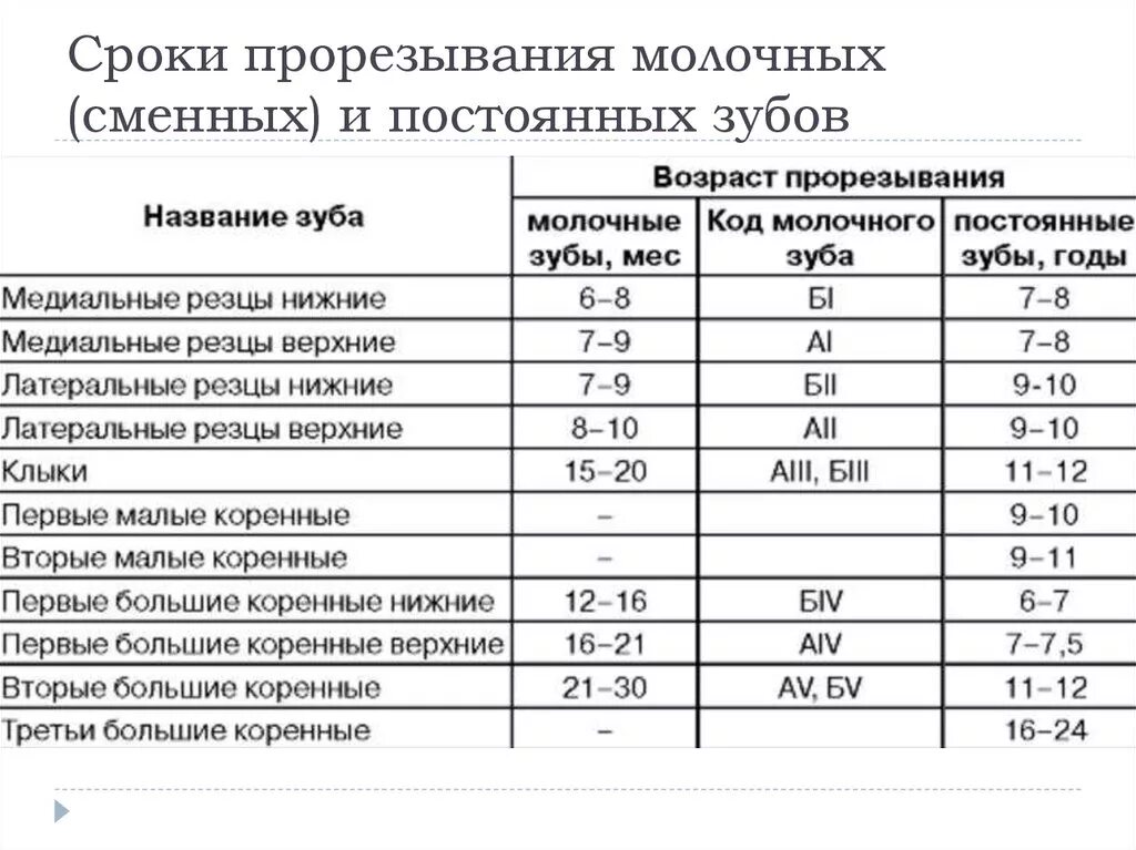 Сроки прорезывания молочных и постоянных зубов таблица - TouristMaps.ru