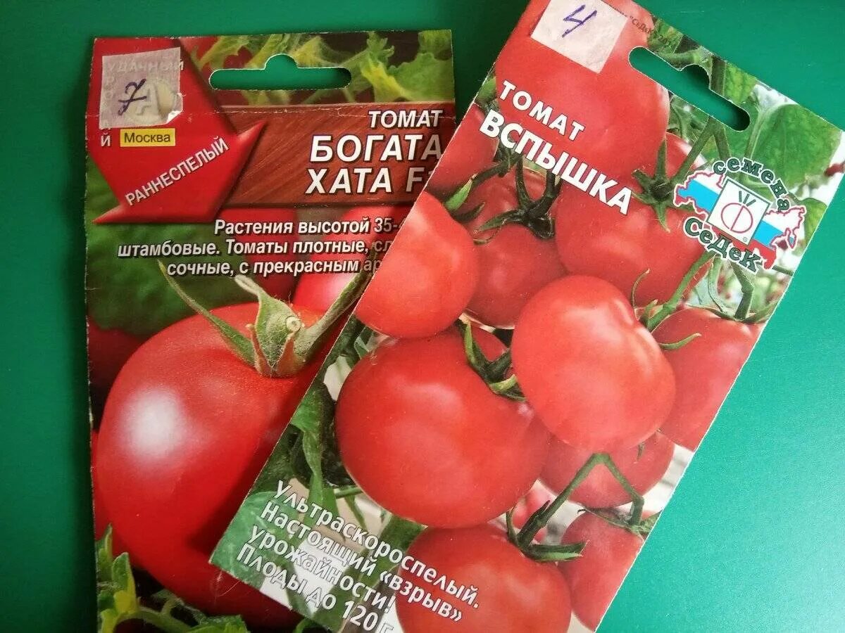 Томат богата хата описание и отзывы. СЕДЕК томат вспышка. Семена томат СЕДЕК вспышка. Сорт томата богата хата. Сорт вспышка томат.