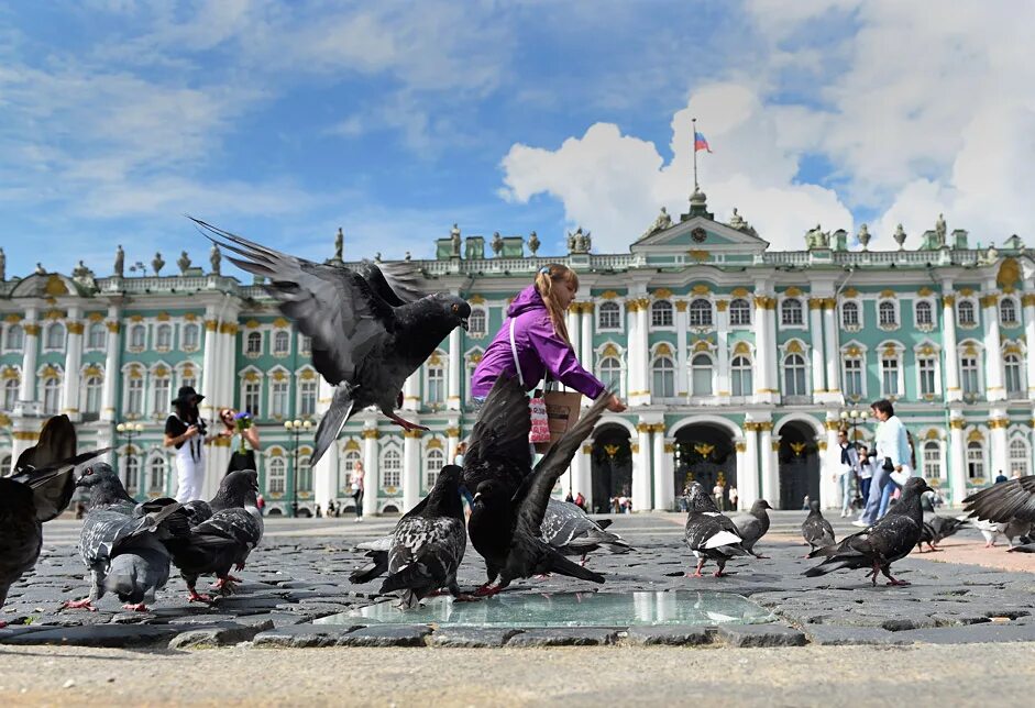 Выходного дня спб. Жители Петербурга. Население и площадь Питера. Жители города Санкт-Петербург. Толпа туристов в СПБ.