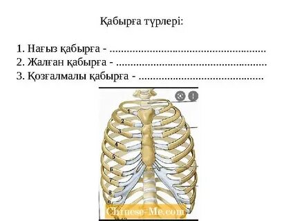 Велосипедпен секс