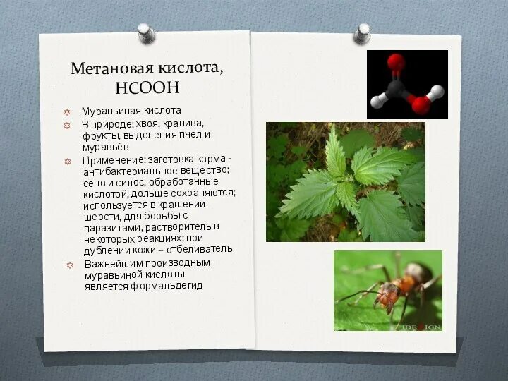 Как применять муравьиную кислоту