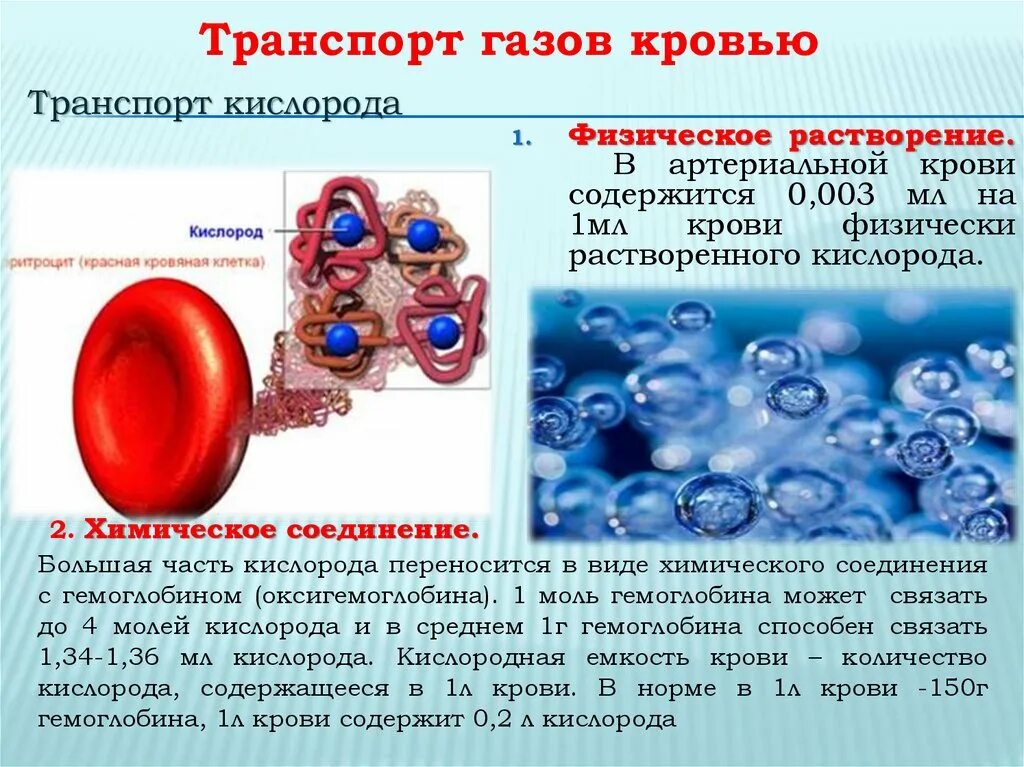 Транспорт кислорода кровью. Транспортировка газов кровью. Транспорт газов гемоглобином. Транспорт газов кровью физиология.