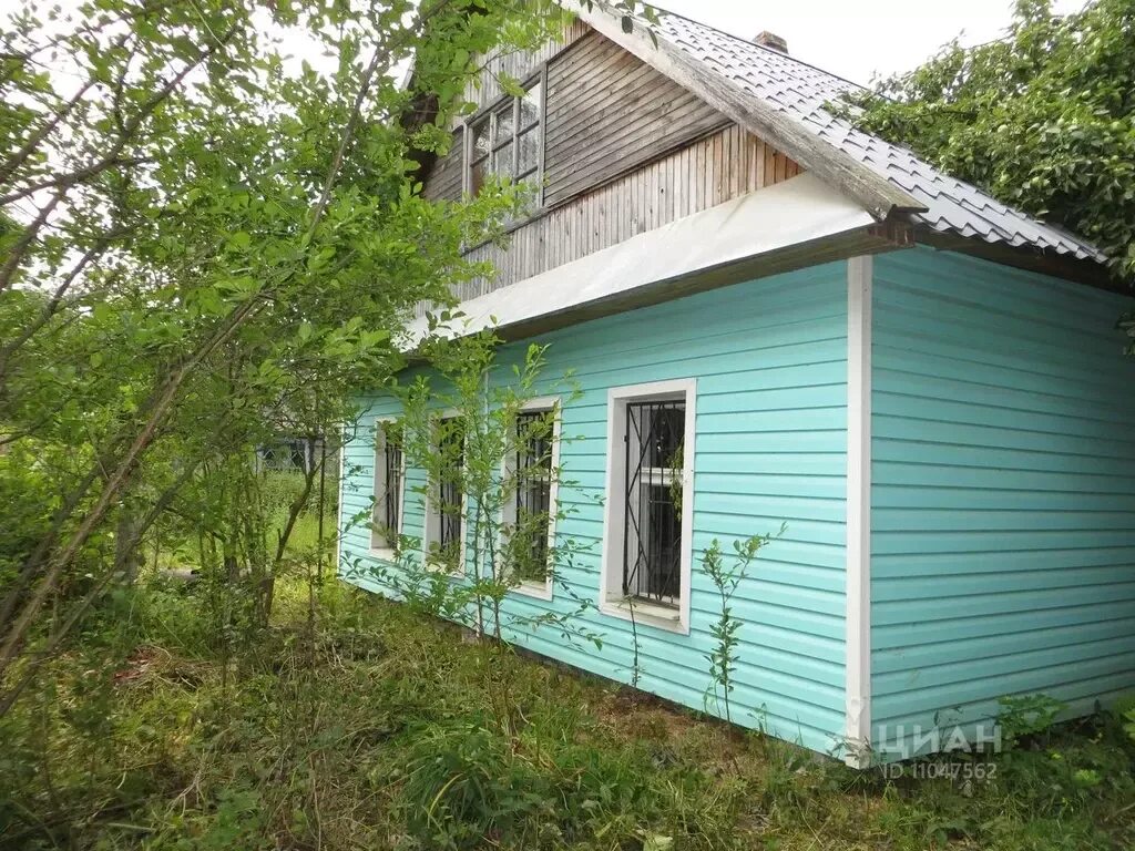 Редкино заполок. Заполок тверская область. Редкино заполок. Редкино заполок. Заполок.