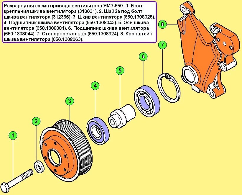 Ямз 650 схема. Шкив привода вентилятора ЯМЗ 650. Подшипник привода вентилятора ЯМЗ 650. Привод вентилятора ЯМЗ 236 чертеж. Болт крепления шкива вентилятора ЯМЗ-650.