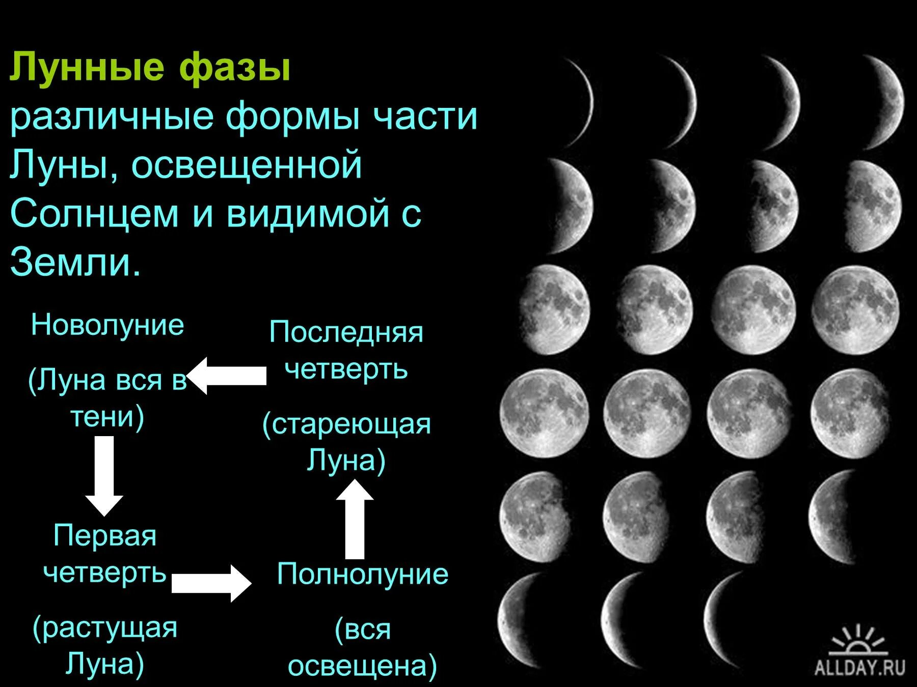 Форма Луны. Фазы Луны. Фазы Луны с названиями. Цикл лунных фаз. Почему изменяется луна