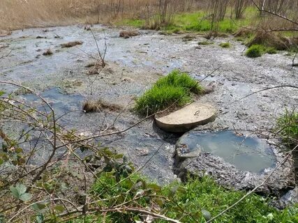 Погода в октябрьске краснодарский край