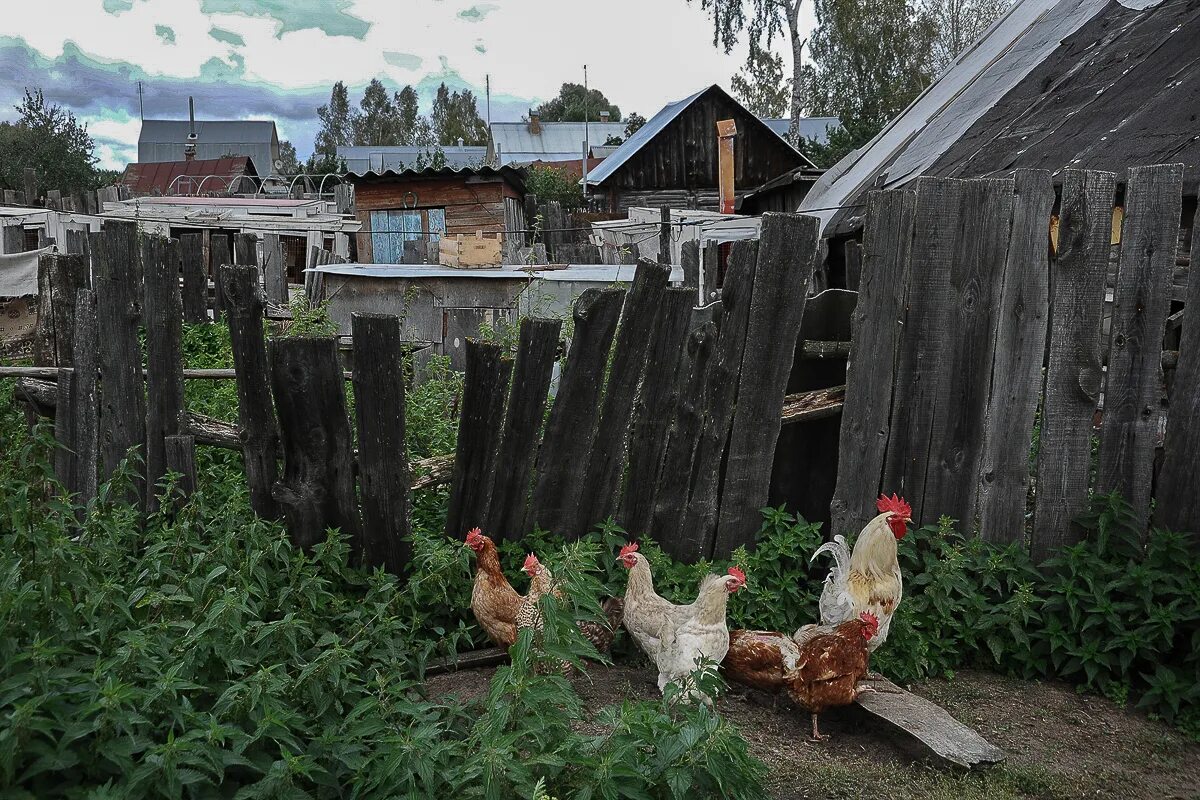 Деревня с 1 жителем. Огород в деревне. Деревенский домик с огородом. Деревенский забор. Заборчик в деревне.