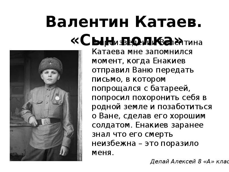 Капитан Енакиев сын полка. Катаев сын полка Ваня Солнцев.