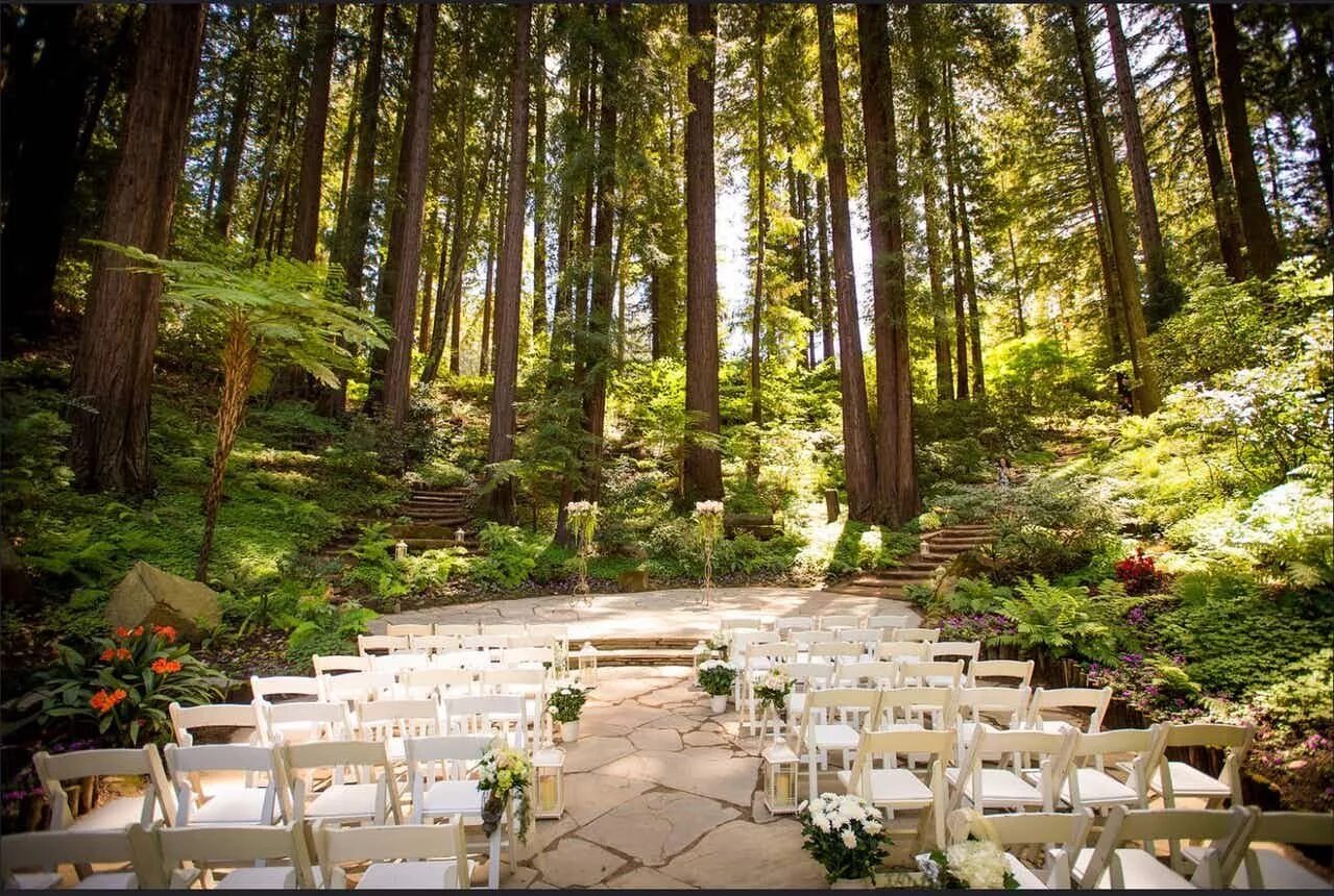 Forest style