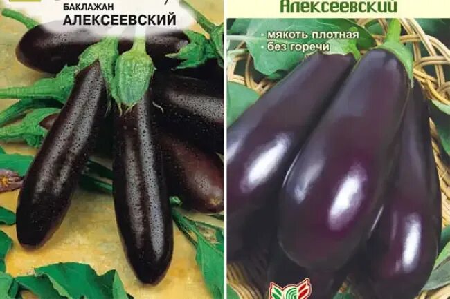 Баклажан алексеевский описание сорта фото. Сорт баклажан алексеевский. Баклажан алексеевский семена алтая. Баклажан алексеевский описание сорта фото. Баклажаны семко.
